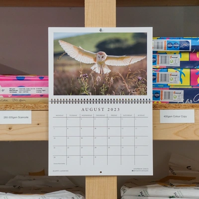  Cerberus Calendar Wirebound