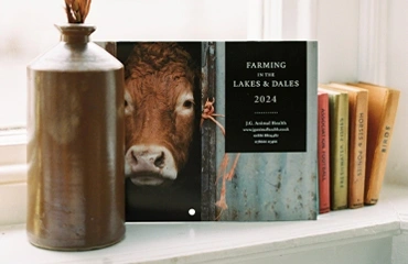  Calendar Product